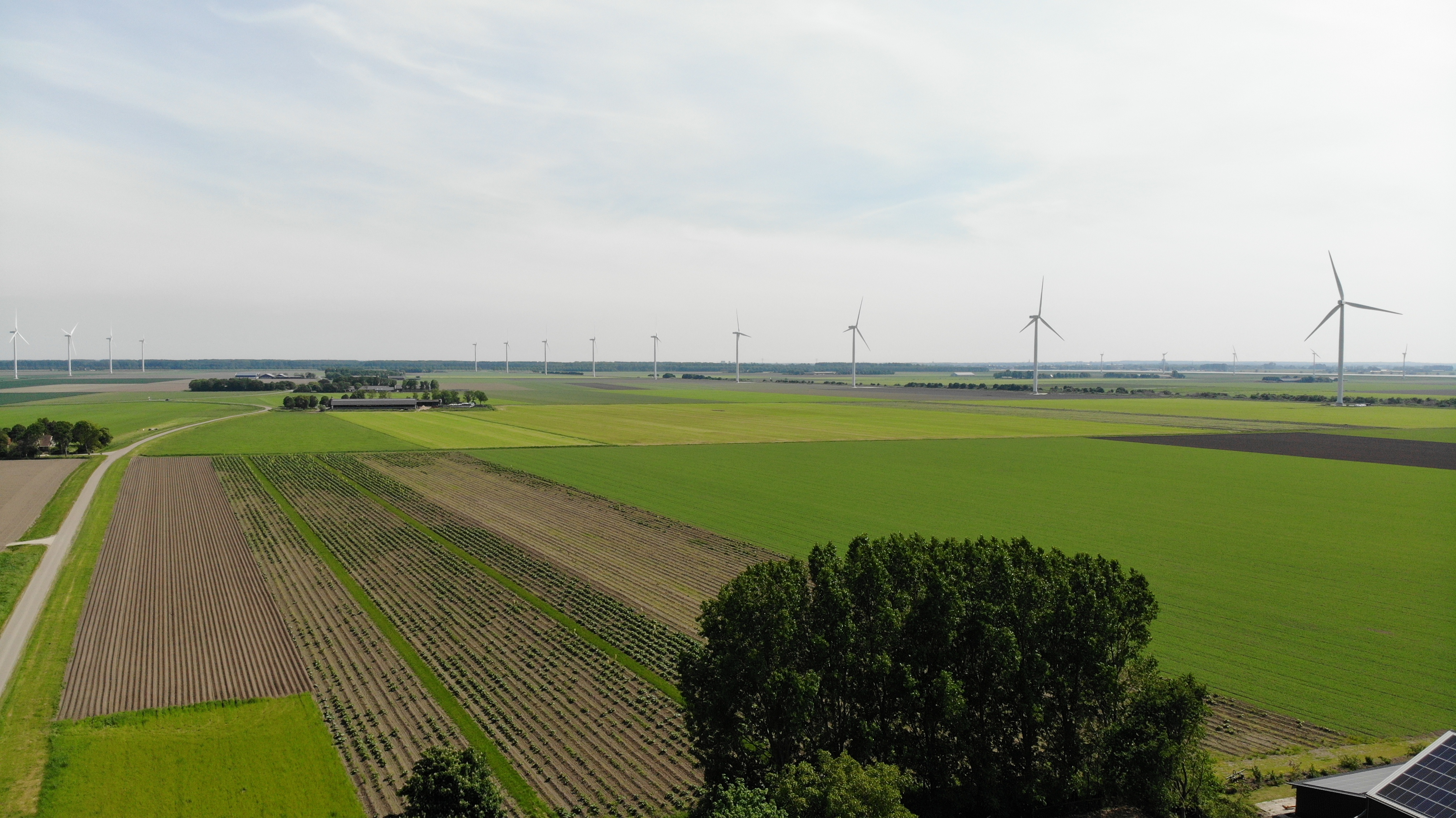 Akkerland en boerderijen in het buitengebied van Zeewolde