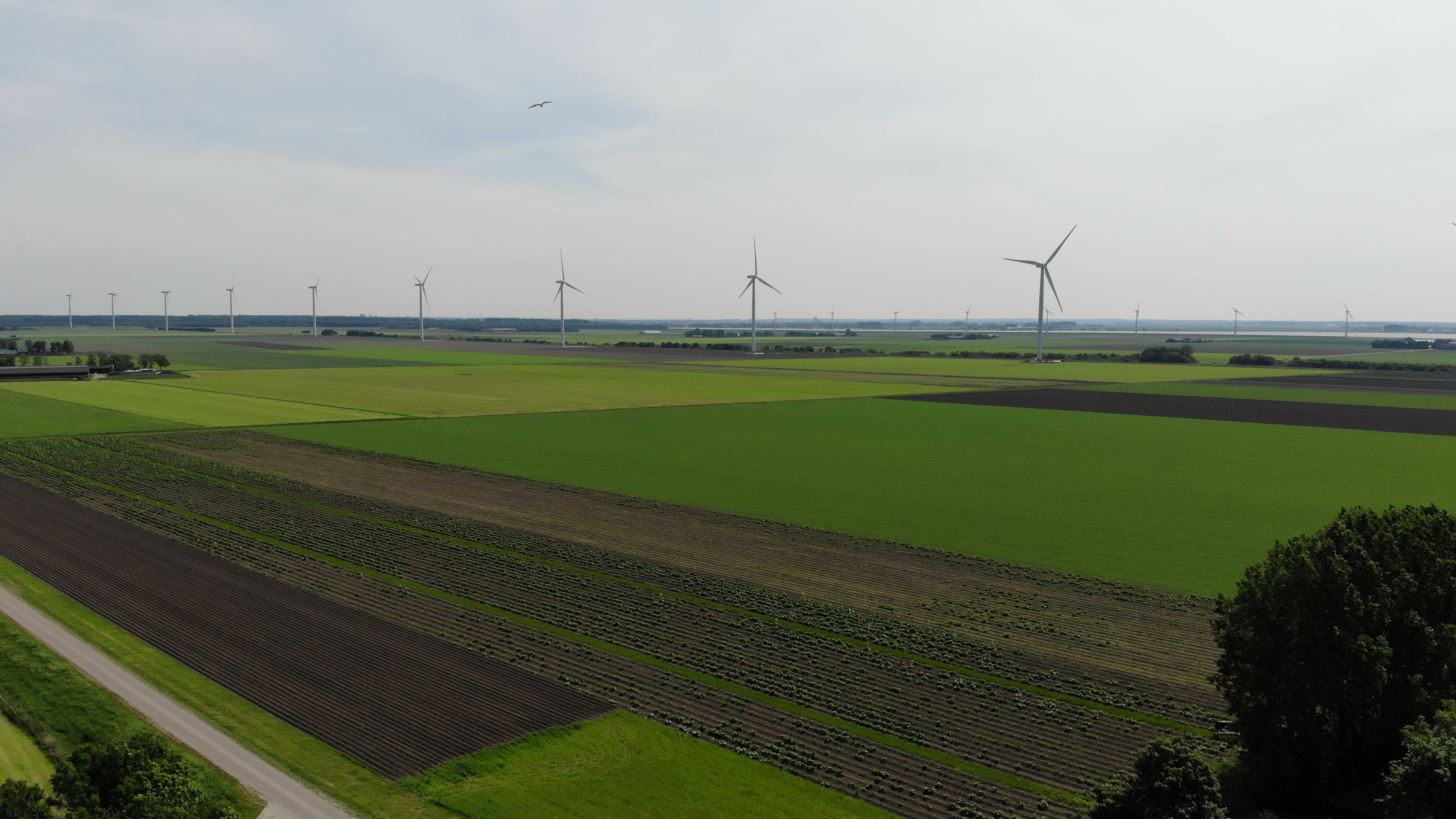 Luchtfoto van het buitengebied van Zeewolde met windmolens